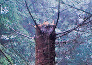 gallery/uploads-1-0-8-4-108467987-18-08-24-003_orig