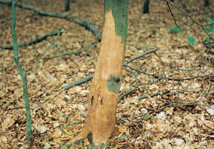 gallery/uploads-1-0-8-4-108467987-18-08-24-002_orig